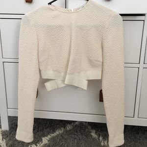 Elizabeth and James Long Sleeve Crop Top